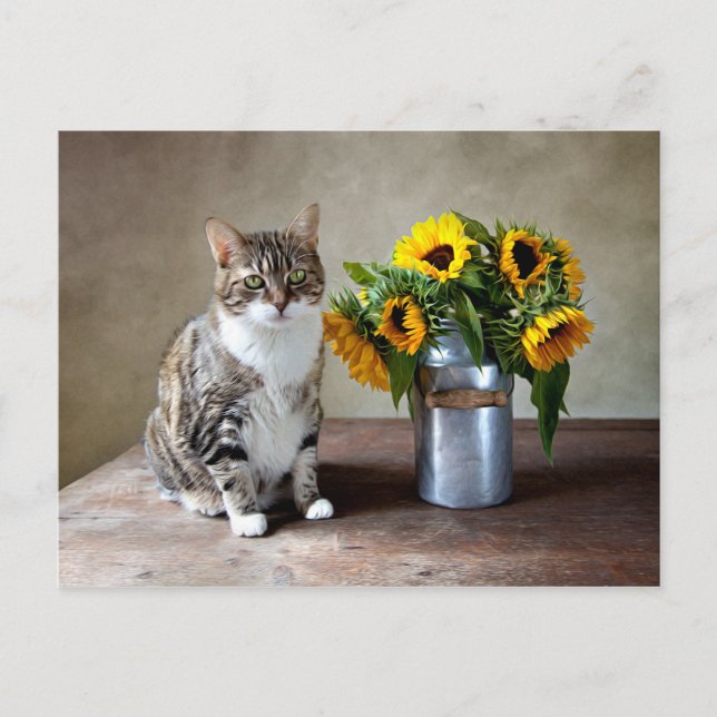 Cat and Sunflowers Postcard (Front)