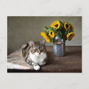 Cat and Sunflowers Postcard