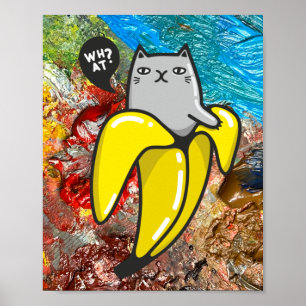 Cat and the colours poster