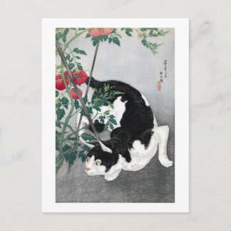 Cat and Tomato, Takahashi Shotei Postcard