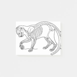 Cat Animal Bones Skeleton Line Art Biology Post-it Notes