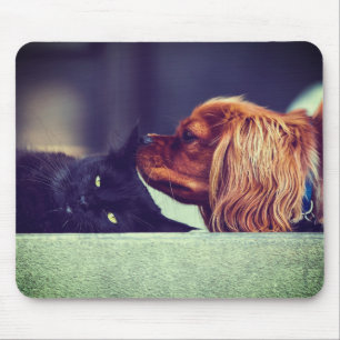 Cat, Animal, Kitten Mouse Pad