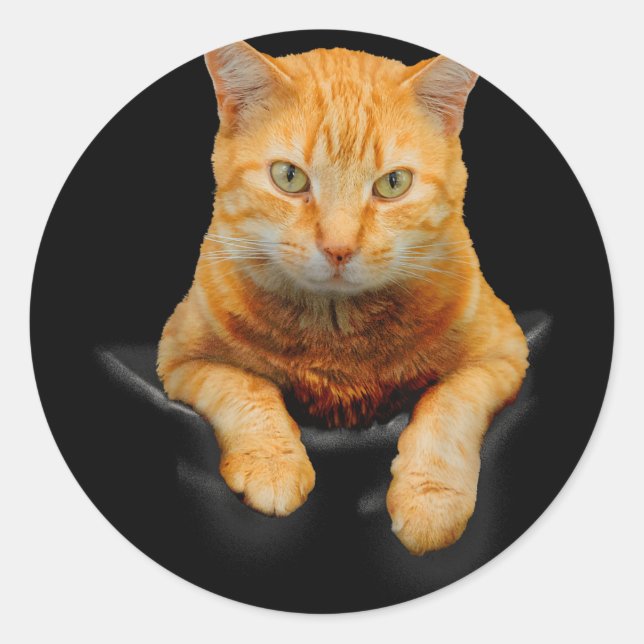 Cat Animals Creative Cat Motif Bag Cat  Classic Round Sticker (Front)
