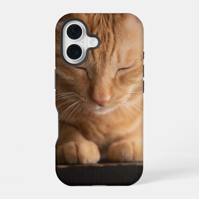 Cat Apple Iphone 16 Case (Back)