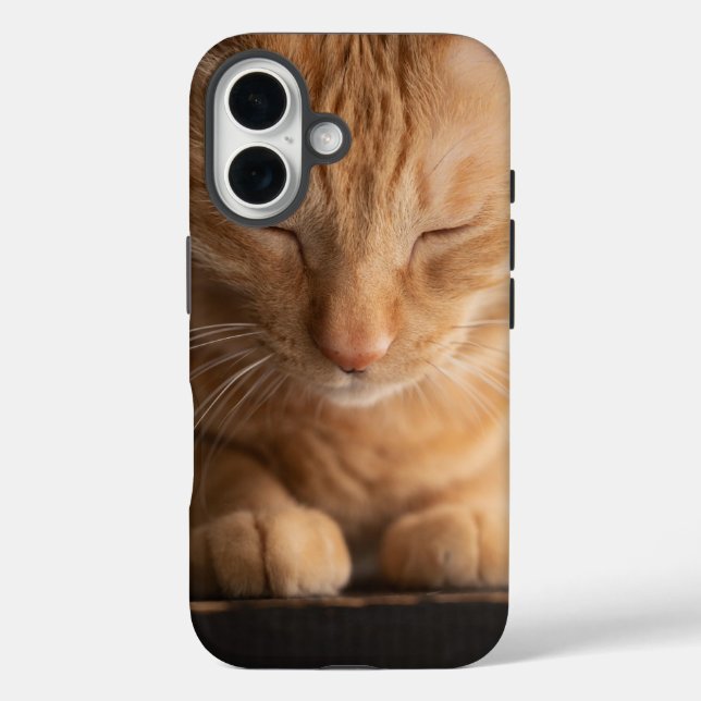 Cat Apple Iphone 16 Case (Back)