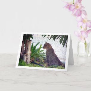 Cat at Beach Portrait Card