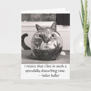 cat at fish bowl, i rejoice that i live in...times card