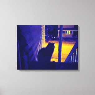Cat at Night in the Old Neighbourhood Canvas Print