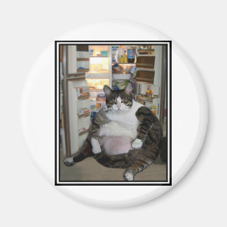 CAT AT THE FRIDGE MAGNET