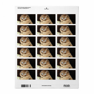 Cat at work with glasses by Louis Wain Label