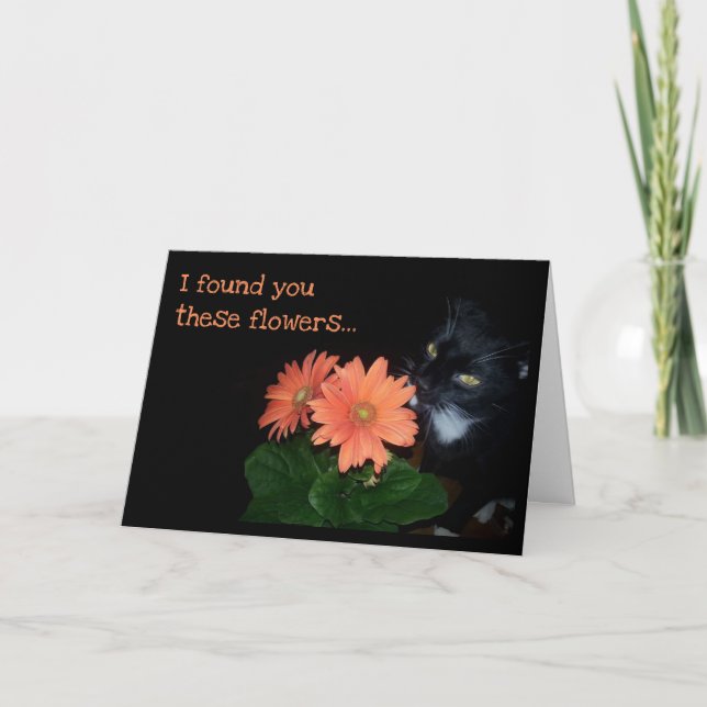 Cat Ate Your Birthday Flowers Card (Front)