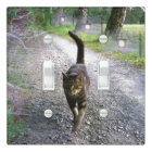 Cat Avenue