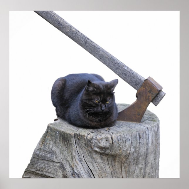 cat, axe and life poster (Front)