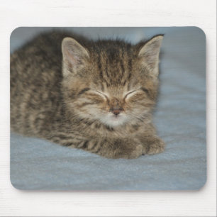 cat baby mouse pad