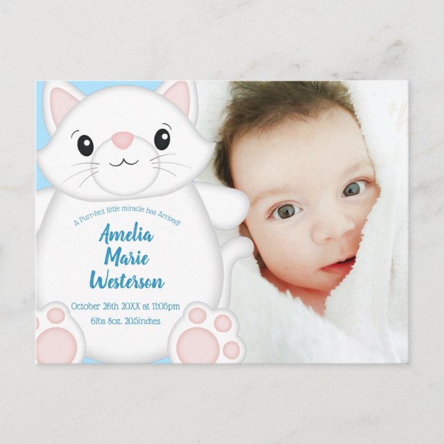 Cat Baby Shower Kitty Blue Postcard (Front)