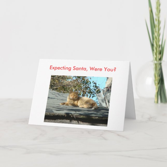 Cat, Bah Humbug Holiday Card (Front)