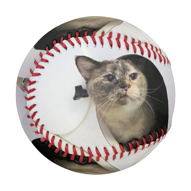 Cat Baseball (Front Left)