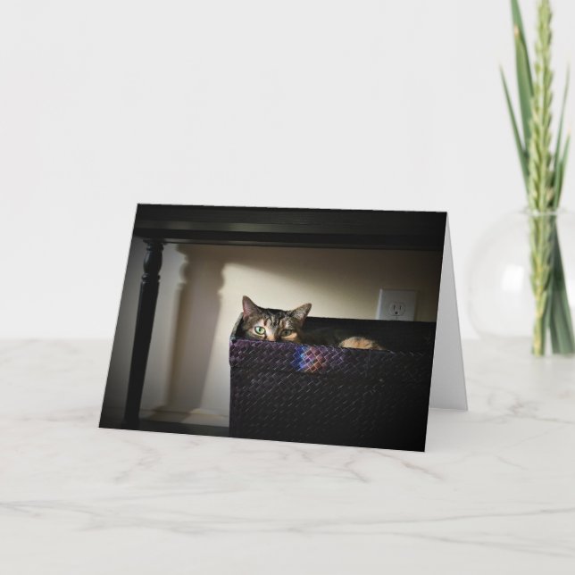 Cat Basket, card (Front)