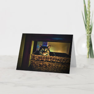Cat Basket, card
