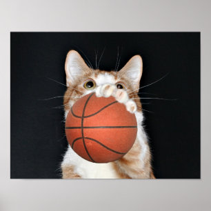 Cat basketball poster