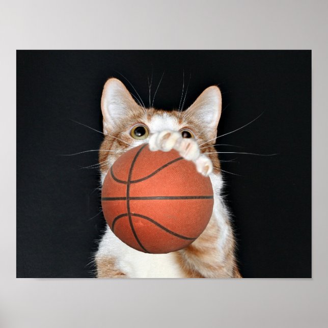 Cat basketball poster (Front)