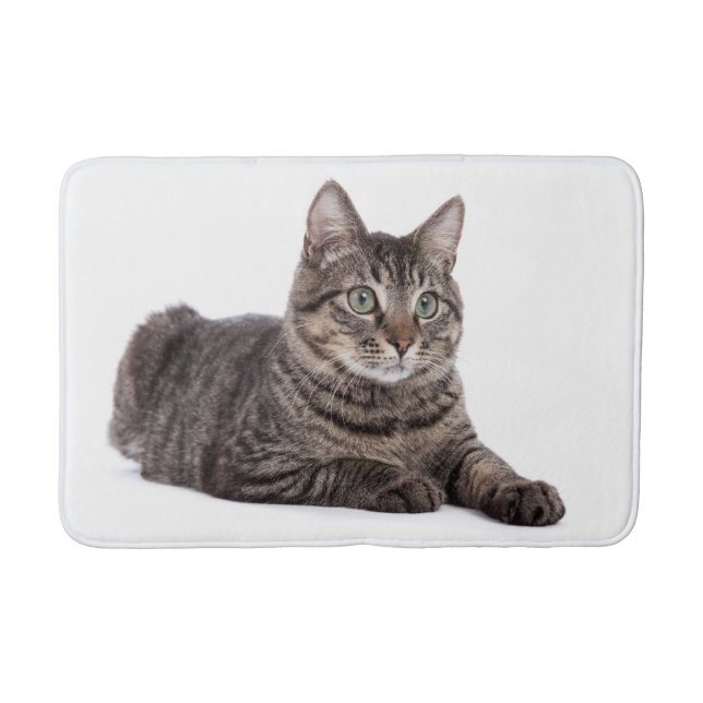 Cat Bath Mat (Front)