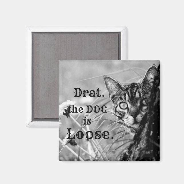Cat Behind Tree, Drat, the Dog is Loose. Magnet (Front/Back)