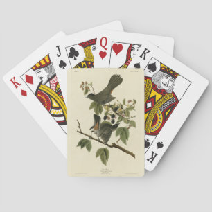 Cat Bird (Grey Catbird) Audubon's Birds of America Playing Cards