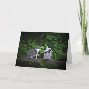 Cat & Birdhouse, card