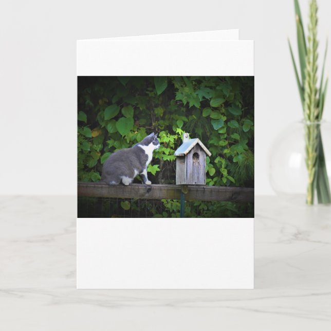 Cat & Birdhouse, card (Front)