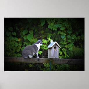Cat & Birdhouse,  Poster