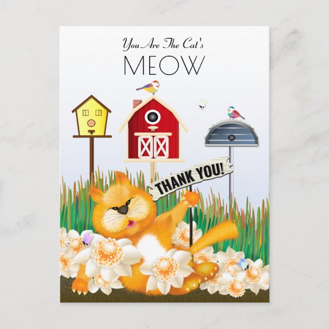 Cat Birds Garden Thank You Postcard (Front)