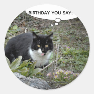 Cat Birthday  Custom Text Classic Sticker