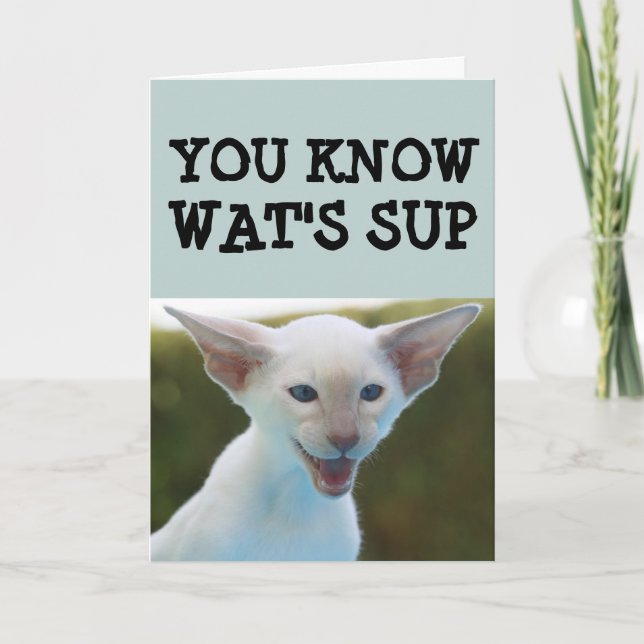CAT BIRTHDAY FUNNY CARD (Front)