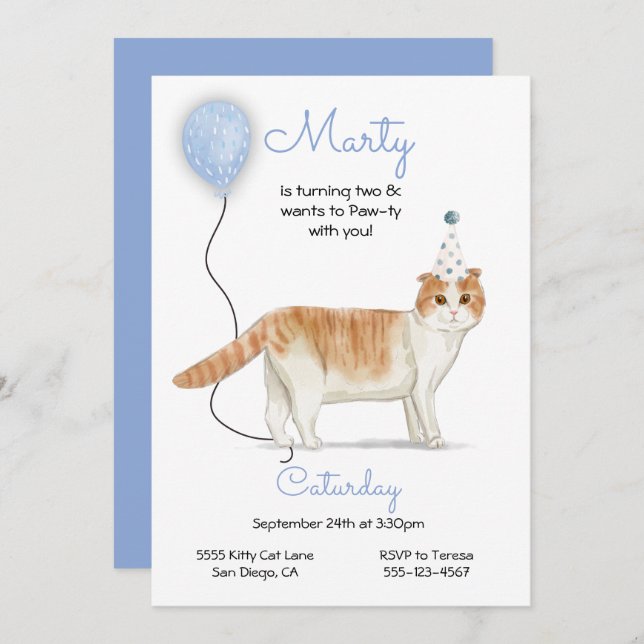 Cat Birthday Party Invitation (Front/Back)