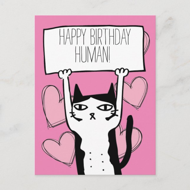 Cat Birthday Postcard (Front)