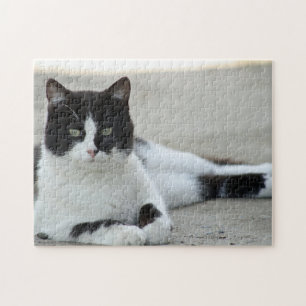 Cat Black and White Tuxedo Photo Jigsaw Puzzle