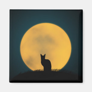 Cat Black Cat Full Moon Halloween Animal Kitten Magnet