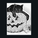 Cat Black Orange Pumpkin Halloween Postcard<br><div class="desc">Get your Party going with this black cat and pumpkin combination.</div>
