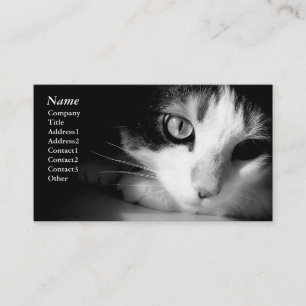 Cat black&white - Business cards