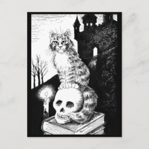 cat black & white Maine Coon Halloween postcard