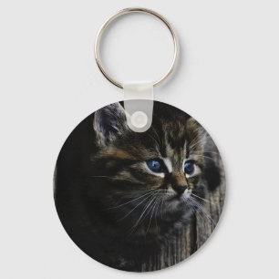 Cat blue eyes key ring