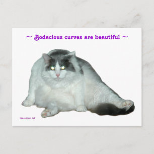 Cat, Bodacious curves are beautiful Postcard