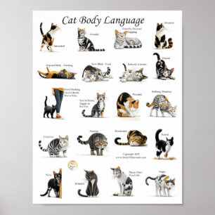 Cat Body Language Chart