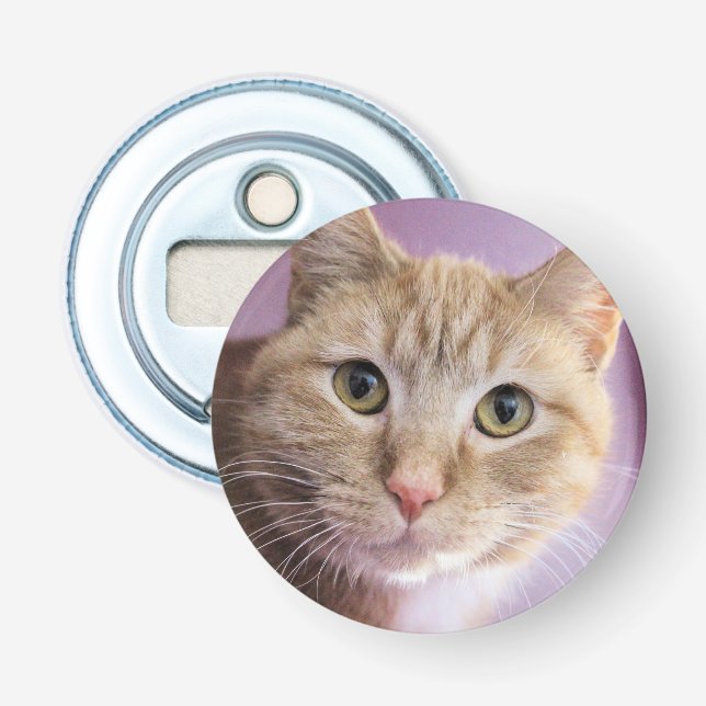 Cat Bottle Opener (Front)