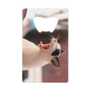 Cat Bottle Opener