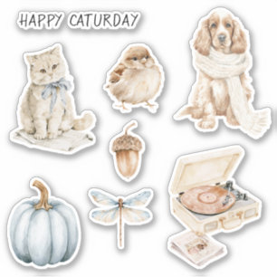 Cat Bow Caturday Bird Dog