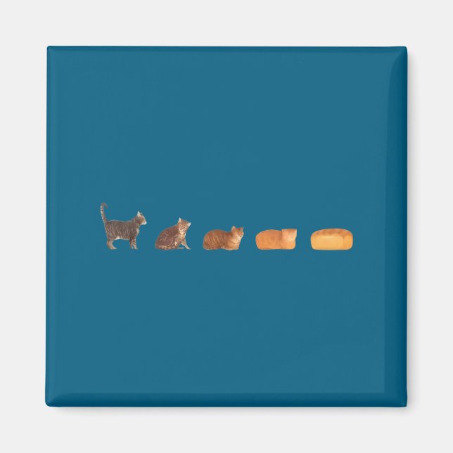 Cat bread loaf evolution funny cat mom cute kitten magnet (Front)
