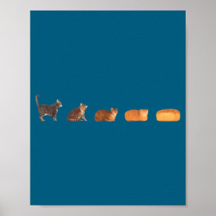 Cat bread loaf evolution funny cat mum cute kitten poster