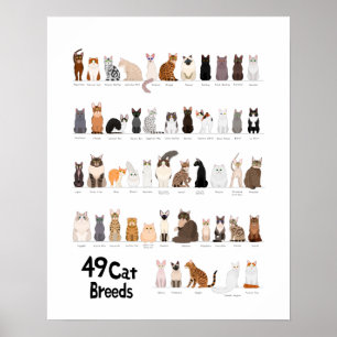 cat breed chart